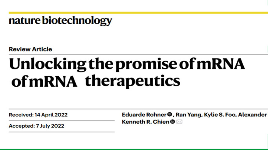 A summary from a 68-score journal subordinate to Nature: Prospect of mRNA Therapy 