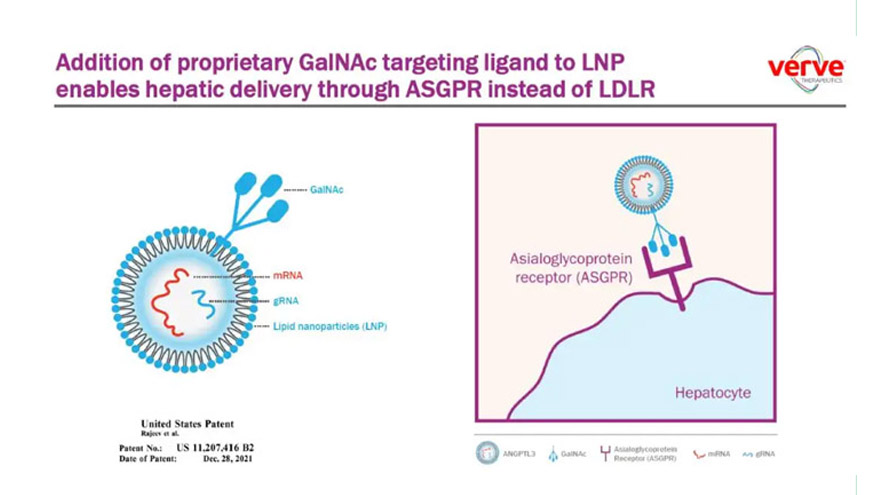 While VLP and novel exosome delivery modes are developed one after another, and LNP and GalNAc become the mainstream of nucleic acid delivery, what novel delivery modes else are getting ready? 